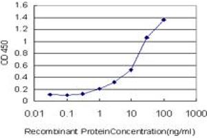 Detection limit for recombinant GST tagged LEF1 is approximately 0. (LEF1 anticorps  (AA 1-399))