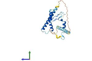 AlphaFold protein structure predicition of Mouse Recombinant Pym1 Protein, UniprotID Q8CHP5