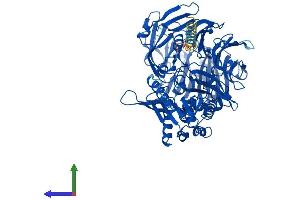 AlphaFold protein structure predicition of Mouse Recombinant Fap Protein, UniprotID P97321