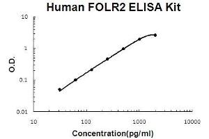 Human FOLR2 PicoKine ELISA Kit standard curve (FOLR2 Kit ELISA)