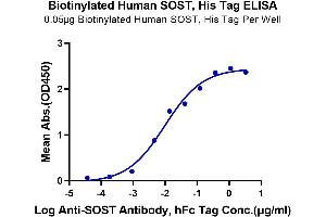 Immobilized Biotinylated Human SOST, His Tag at 0.