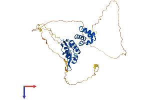 AlphaFold protein structure predicition of Mouse Recombinant Scml4 Protein, UniprotID Q80VG1