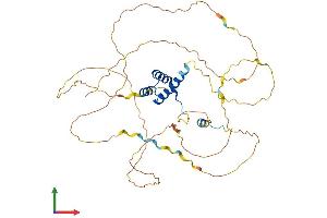 AlphaFold protein structure predicition of Human Recombinant HOXD3 Protein, UniprotID P31249