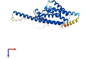 AlphaFold protein structure predicition of Human Recombinant TSNAX Protein, UniprotID Q99598