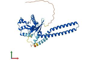 AlphaFold protein structure predicition of Human Recombinant GIMAP4 Protein, UniprotID Q9NUV9