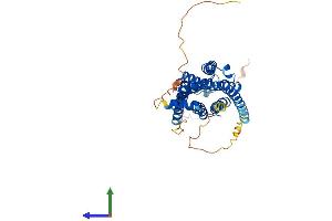 AlphaFold protein structure predicition of Mouse Recombinant Adrb3 Protein, UniprotID P25962
