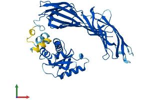 AlphaFold protein structure predicition of Human Recombinant AP3M1 Protein, UniprotID Q9Y2T2
