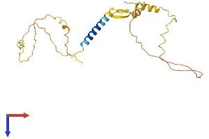 AlphaFold protein structure predicition of Mouse Recombinant Caly Protein, UniprotID Q9DCA7