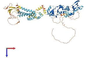 AlphaFold protein structure predicition of Human Recombinant CNNM3 Protein, UniprotID Q8NE01