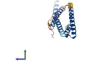 AlphaFold protein structure predicition of Mouse Recombinant Timm17b Protein, UniprotID Q9Z0V7