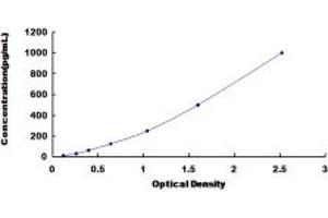 KIT Ligand (KITLG) ELISA Kit