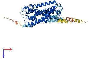 AlphaFold protein structure predicition of Human Recombinant P2RY14 Protein, UniprotID Q15391