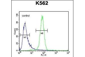 C6orf58 Antibody (Center) (ABIN653979 and ABIN2843925) flow cytometric analysis of K562 cells (right histogram) compared to a negative control cell (left histogram). (C6ORF58 anticorps  (AA 205-233))