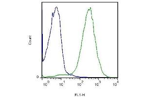 Mouse intestine cells probed with Rabbit Anti-Robo4 Polyclonal Antibody, FITC Conjugated (ABIN714866-FITC) (green) at 1:50 for 60 minutes compared to control cells (red).