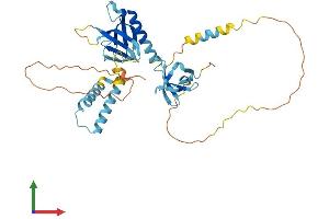 AlphaFold protein structure predicition of Mouse Recombinant Skap1 Protein, UniprotID Q3UUV5