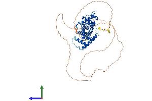 AlphaFold protein structure predicition of Mouse Recombinant Ccnl1 Protein, UniprotID Q52KE7