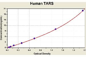 Diagramm of the ELISA kit to detect Human TARSwith the optical density on the x-axis and the concentration on the y-axis. (TARS Kit ELISA)