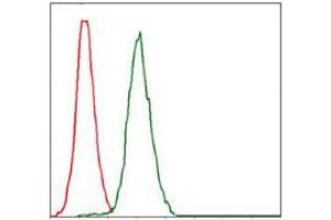 Flow cytometric analysis of Jurkat cells using RPA1 mouse mAb (green) and negative control (red).