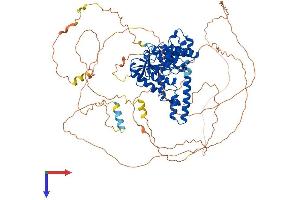 AlphaFold protein structure predicition of Human Recombinant EXO1 Protein, UniprotID Q9UQ84