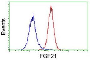 Flow cytometric Analysis of Hela cells, using anti-FGF21 antibody (ABIN2454488), (Red), compared to a nonspecific negative control antibody, (Blue). (FGF21 anticorps  (AA 29-209))