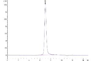 The purity of Mouse ITGAL&ITGB2 is greater than 95 % as determined by SEC-HPLC.