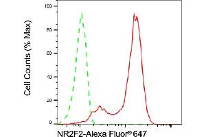 Flow cytometric analysis of NR2F2 expression in H9c2 cells using NR2F2 antibody (ABIN7799656), 1:2,000).