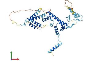AlphaFold protein structure predicition of Mouse Recombinant Tada1 Protein, UniprotID Q99LM9