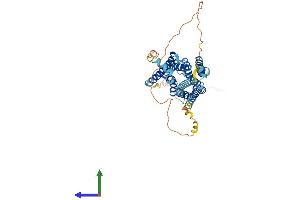 AlphaFold protein structure predicition of Mouse Recombinant Hrh3 Protein, UniprotID P58406