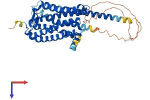 G Protein-Coupled Receptor 84 (GPR84) (AA 1-396) protein (His tag)