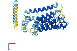 AlphaFold protein structure predicition of Human Recombinant RHBDL2 Protein, UniprotID Q9NX52