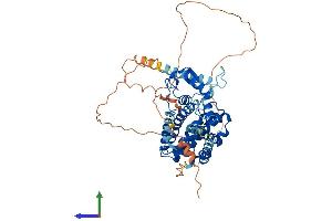 AlphaFold protein structure predicition of Human Recombinant NR5A2 Protein, UniprotID O00482