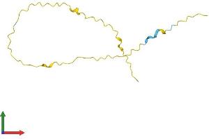 AlphaFold protein structure predicition of Human Recombinant GAGE5 Protein, UniprotID Q13069