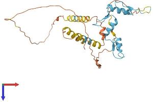 AlphaFold protein structure predicition of Mouse Recombinant Klf6 Protein, UniprotID O08584
