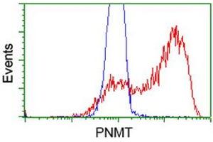 Flow Cytometry (FACS) image for anti-Phenylethanolamine N-Methyltransferase (PNMT) antibody (ABIN1500312) (PNMT anticorps)