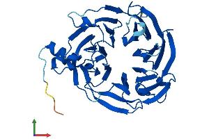 AlphaFold protein structure predicition of Mouse Recombinant Thoc6 Protein, UniprotID Q5U4D9