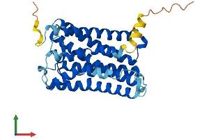 AlphaFold protein structure predicition of Mouse Recombinant Rgr Protein, UniprotID Q9Z2B3