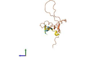 AlphaFold protein structure predicition of Human Recombinant ZNF815P Protein, UniprotID A8K554