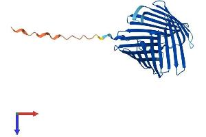 AlphaFold protein structure predicition of Human Recombinant TOMM40L Protein, UniprotID Q969M1