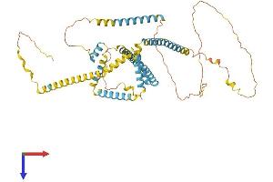 AlphaFold protein structure predicition of Human Recombinant RETREG1 Protein, UniprotID Q9H6L5