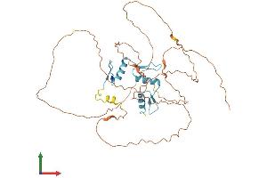 AlphaFold protein structure predicition of Human Recombinant KLF12 Protein, UniprotID Q9Y4X4