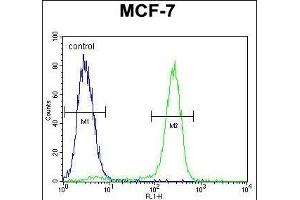 OTOP3 Antibody (C-term) (ABIN655855 and ABIN2845262) flow cytometric analysis of MCF-7 cells (right histogram) compared to a negative control (left histogram). (OTOP3 anticorps  (C-Term))