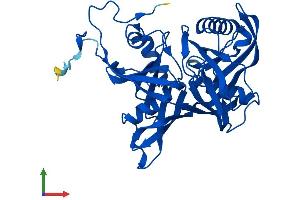 AlphaFold protein structure predicition of Mouse Recombinant L3hypdh Protein, UniprotID Q9CXA2