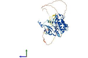 AlphaFold protein structure predicition of Mouse Recombinant Cdk19 Protein, UniprotID Q8BWD8