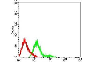 Flow cytometric analysis of HL-60 cells using CD174 mouse mAb (green) and negative control (red).