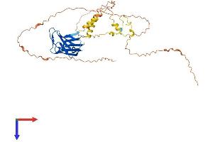 AlphaFold protein structure predicition of Human Recombinant LMNTD1 Protein, UniprotID Q8N9Z9