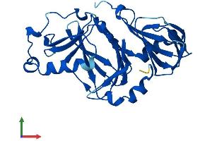 AlphaFold protein structure predicition of Human Recombinant HAAO Protein, UniprotID P46952