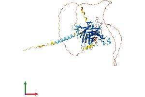 AlphaFold protein structure predicition of Mouse Recombinant Tub Protein, UniprotID P50586