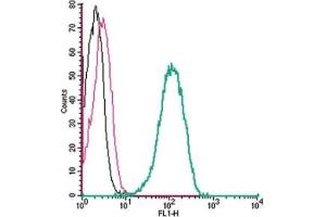Cell surface detection of Thromboxane A2 Receptor by indirect flow cytometry in live intact human THP-1 monocytic leukemia cell line: (black line) Cells.