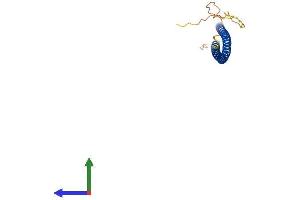 AlphaFold protein structure predicition of Mouse Recombinant Ccdc85b Protein, UniprotID Q6PDY0