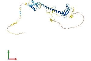 AlphaFold protein structure predicition of Human Recombinant E2F5 Protein, UniprotID Q15329